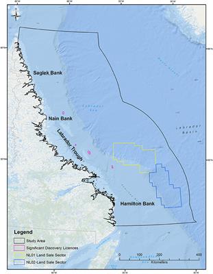 Employing Predictive Spatial Models to Inform Conservation Planning for Seabirds in the Labrador Sea